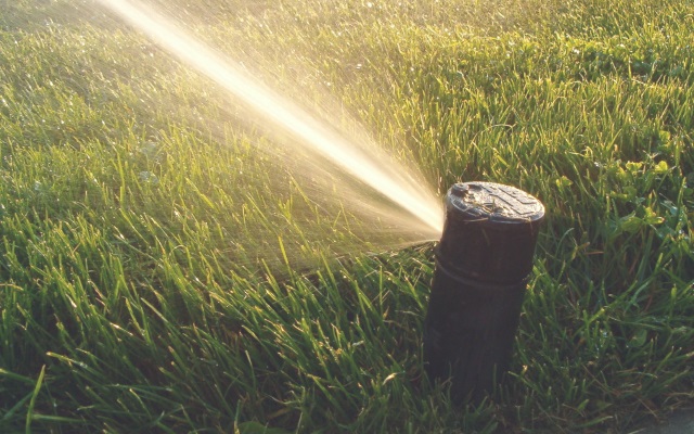 Sprinklers resemble what squirting looks like